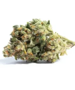 Acapulco Gold Cannabis Strain