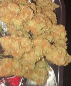 Alice in Wonderland Cannabis Strain