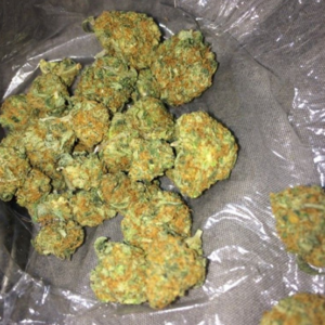 Gorilla glue weed strain