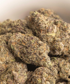 Girl Scout Cookies Strain