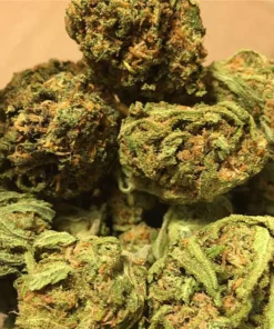 Afghan Kush Cannabis Strain